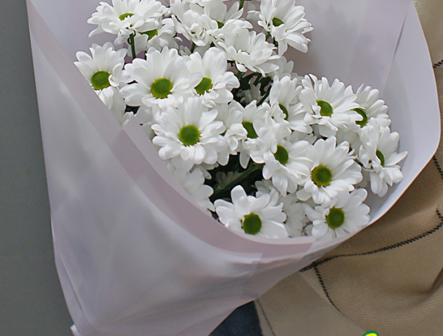 Букет из 5 веток белых хризантем Фото